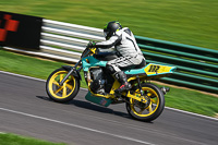 cadwell-no-limits-trackday;cadwell-park;cadwell-park-photographs;cadwell-trackday-photographs;enduro-digital-images;event-digital-images;eventdigitalimages;no-limits-trackdays;peter-wileman-photography;racing-digital-images;trackday-digital-images;trackday-photos